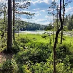 Hirsimökki Kansallispuistossa Espoo