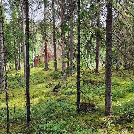 Log By Nuuksio National Park,