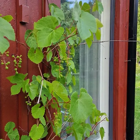 Hirsimökki Kansallispuistossa * Espoo