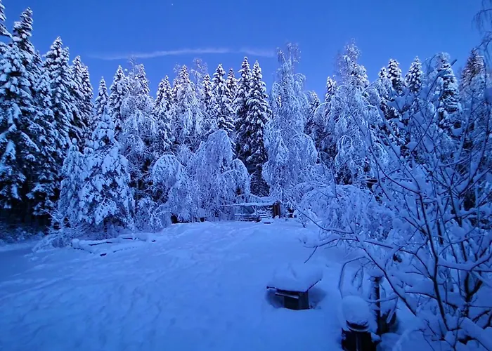 Hirsimoekki Kansallispuistossa * Espoo