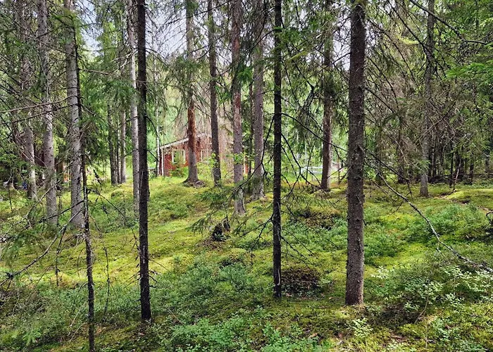 Hirsimoekki Kansallispuistossa