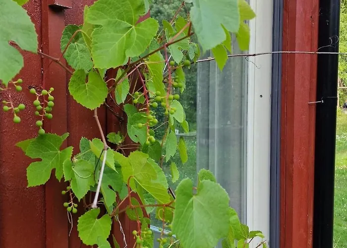 Hirsimoekki Kansallispuistossa * Espoo